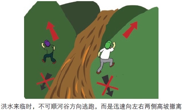 微信图片_20250806101240_9.jpg