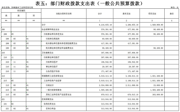 防城港市工业和信息化局2020年部门预算报表5