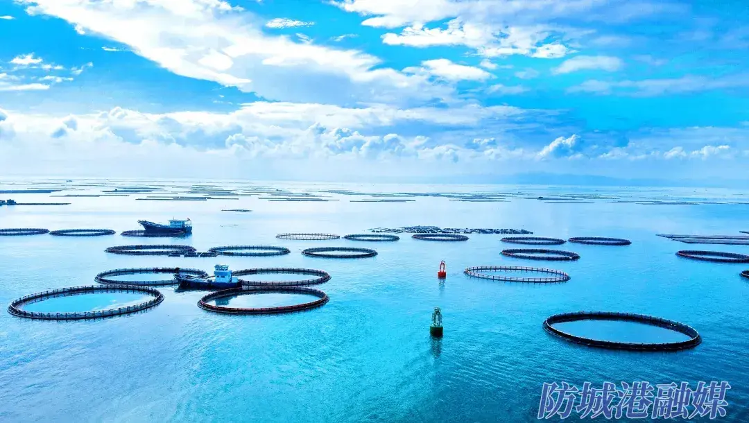 白龙珍珠湾海域国家级海洋牧场示范区。(资料图).webp