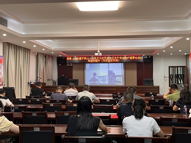 1观看《生命重于泰山--学习习近平总书记关于安全生产重要论述》电视专题片.jpg