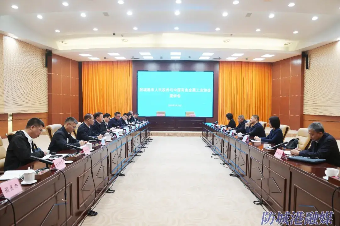 3月12日,防城港市人民政府与中国有色金属工业协会举行座谈会。.webp